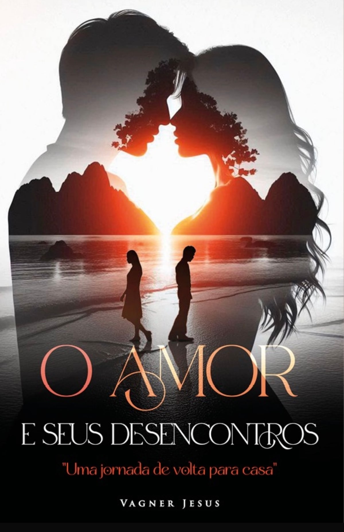 Capa do livro O Amor e Seus Desencontros